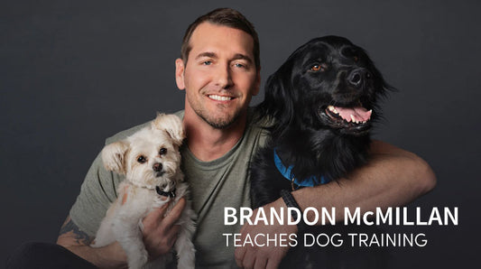 Brandon McMillan’s Dog Training Online Course