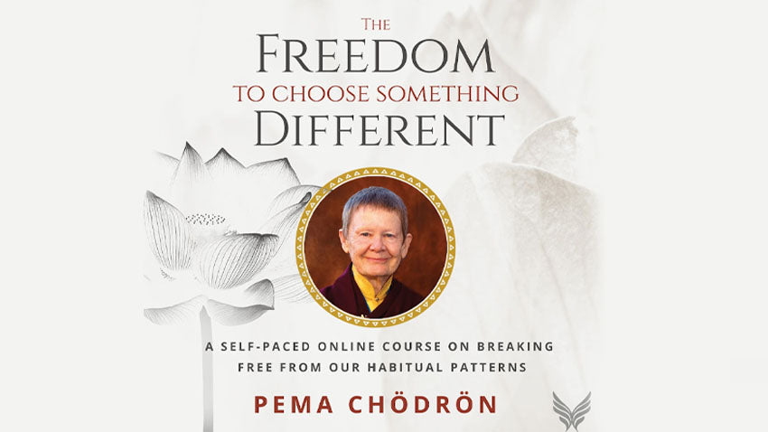 The Freedom to Choose Something Different by Pema Chödrön