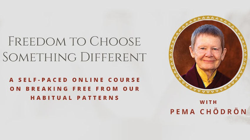 The Freedom to Choose Something Different by Pema Chödrön