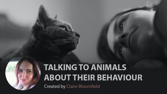 79% Off Talking to animals about their behaviour | Udemy Review & Coupon